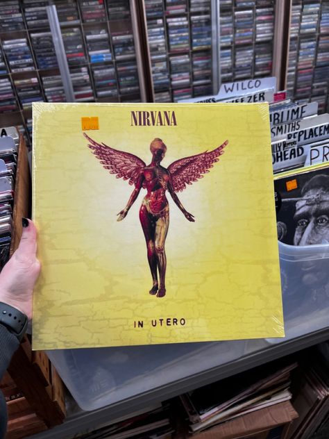 In Utero Vinyl, Nirvana Record, Vinyl Records Aesthetic, Nirvana Vinyl, Cd Aesthetic, Obx Dr, Physical Media, Krist Novoselić, In Utero