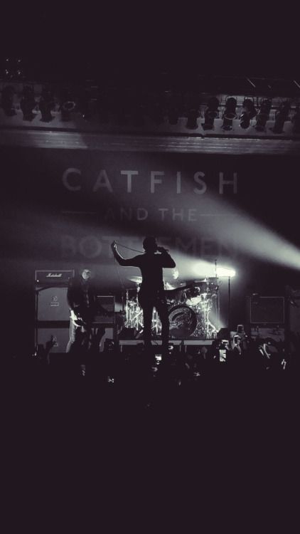 Catfish And The Bottlemen, Catfish