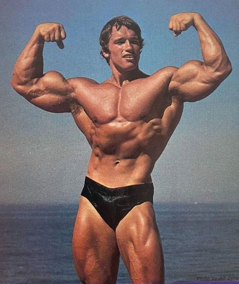 The legend Arnold Schwarzenegger ❤️ #BOOMchallenge Arnold Schwarzenegger Body, Arnold Schwarzenegger Gym, Arnold Schwarzenegger Muscle, Arnold Bodybuilding, Arnold Photos, Old Bodybuilder, Arnold Schwarzenegger Bodybuilding, Schwarzenegger Bodybuilding, Muscular Development