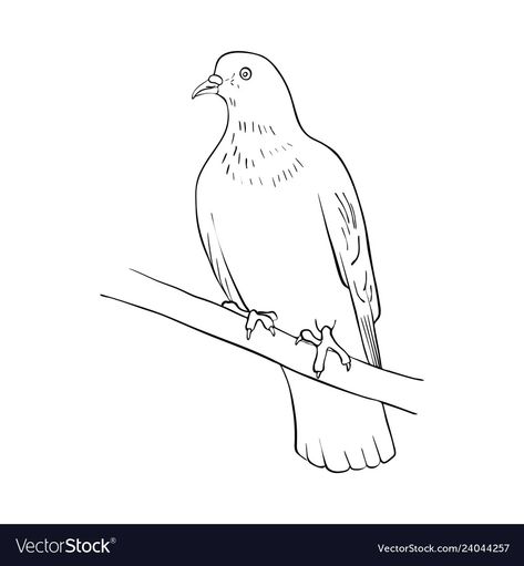 Bird at tree branch Royalty Free Vector Image - VectorStock Tree Bird Drawing, Tree With Birds Drawing, Tree Branch Sketch, Birds On A Branch Drawing, Branch Sketch, Bird Sitting On A Branch Drawing, Bird On Tree Branch, Bird Sitting On A Branch, Branch Drawing