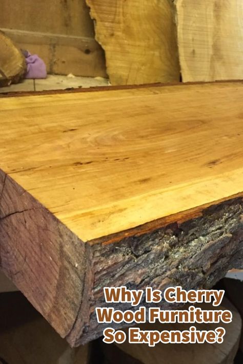 If you are looking to buy some furniture, you may find that furniture made out of Cherry wood is more expensive than other woods. Cherry wood is considered to be a prime wood for furniture. #mondoro #homedecor #develop #manufactured #mondoroliving #create #homefurnishings #cherrywood #cherryfurniture Pickled Cherries, Cherry Wood Furniture, Natural Cherry Wood, Cherry Furniture, Top Furniture, Mo Design, Furniture Trends, Wood Trim, Smart Design