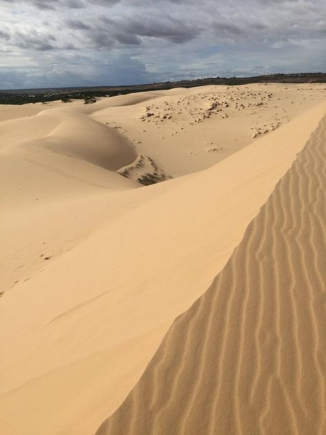 White Sand Dunes (Mui Ne) - 2020 All You Need to Know Before You Go (with Photos) - Mui Ne, Vietnam | TripAdvisor Vietnam Mui Ne, Sand Skiing, White Sand Dunes, White Lake, Hotel Reception, The Dunes, Group Tours, Sand Dunes, Ho Chi Minh