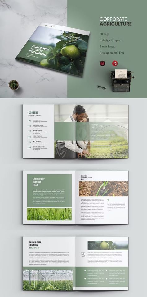 Square Agriculture Business Magazine Design InDesign INDD - 20 Pages Graphic Design Classroom, Agriculture Business, Brochure Design Creative, Advanced Typography, 포트폴리오 레이아웃, Brochure Design Layout, Trifold Brochure Design, Page Layout Design, Proposal Design