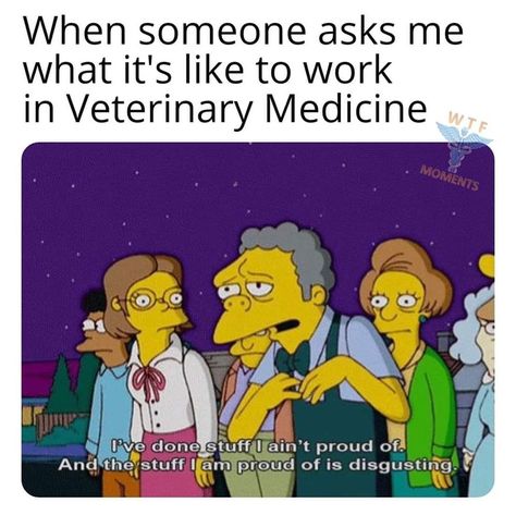 Veterinary Technician Humor, Vet School Humor, Receptionist Humor, Veterinary Humor, Vet Tech Humor, Vet Technician, Nurse Jokes, Nursing Humor, Hello Nurse