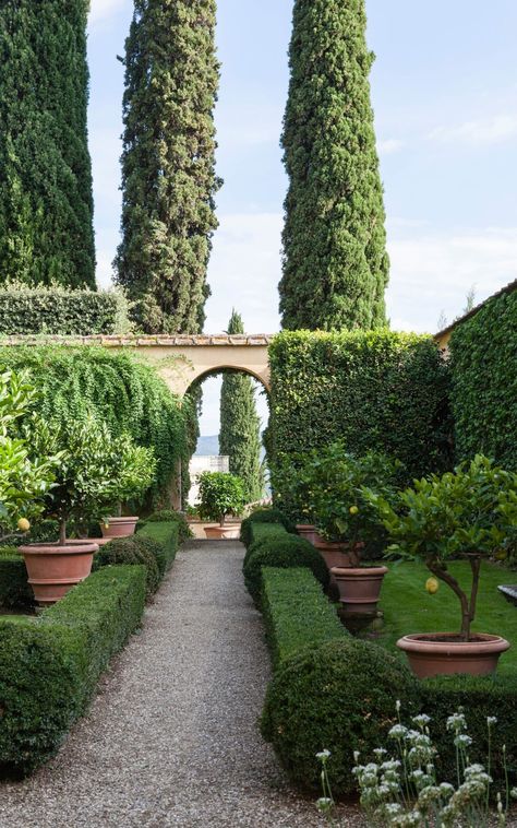 Le Balze, Florence, Tuscany Italian Garden Design, Italian Backyard, Villa Farmhouse, Italian Gardens, Tuscan Garden, Rustic Italian, Hidden Garden, Italian Landscape, Classic Garden