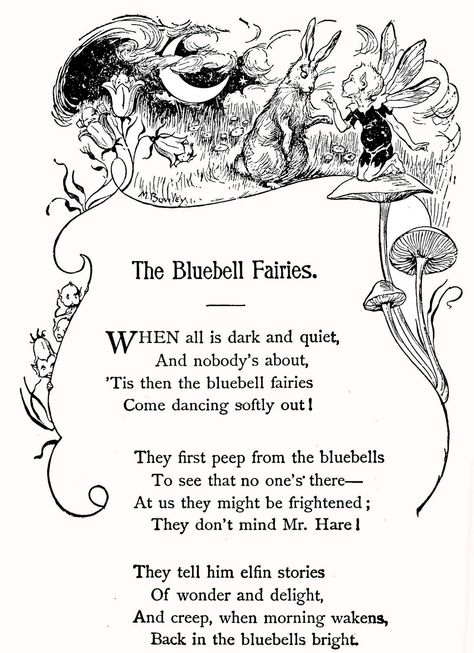 The Bluebell Fairies Fairy Quotes, Old Poetry, Nature Story, Childrens Poetry, Best Nature, Kids Poems, Fairy Tale Books, Vintage Fairies, Fairy Book