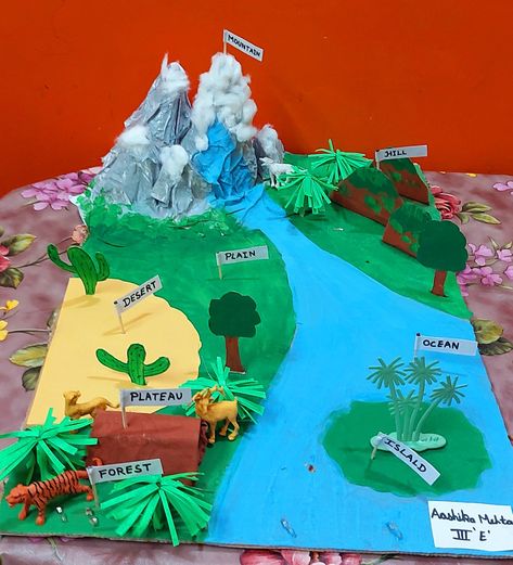 Lake Diorama Project, Island Project School, Landforms Project For Kids, Land Forms Projects Ideas, Landform Projects For Kids, Landforms Model Projects, Landforms Project, Landforms Activities, Landform Projects