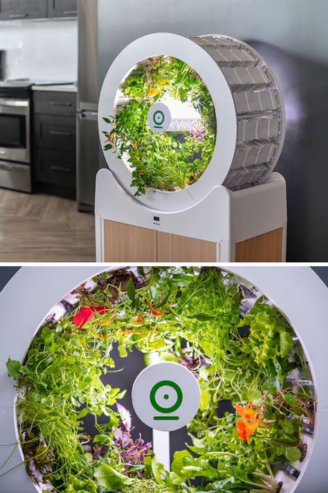 The OGarden Smart is a self-watering indoor garden that can grow 90 fruits, vegetables, and herbs at one time. Indoor Vegetables, Hydroponic Farming, Perennial Vegetables, Gardening Trends, Smart Garden, Organic Soil, Toy Art, Hydroponic Gardening, Japan Design