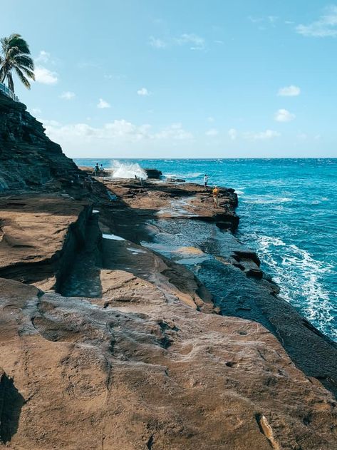 The China Walls Oahu offers are quite different from the Great Wall of China. While the Great Wall may have inspired the naming of this site, this gorgeous ocean cliff isn’t a manmade structure designed to keep out invaders. The China Walls Honolulu offers are a natural cliff with perfect views of downtown Honolulu and […] The post China Walls on Oahu – Everything you need to know appeared first on Avenly Lane Travel. China Walls Oahu, Ocean Cliff, Hanauma Bay, Open Ocean, Hawaii Homes, Great Wall Of China, Oahu Hawaii, Honolulu, Pacific Ocean