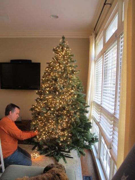 How to Put Lights on a Christmas Tree | Houzz All White Lights Christmas Tree, Christmas Tree Prelit, Christmas Tree Light Pattern, Add Lights To Christmas Tree, Wrapping A Tree With Lights, Best Way To Hang Lights On Christmas Tree, Stringing Lights On Christmas Tree, Best Way To Light A Christmas Tree, How To Wrap Christmas Lights Around Tree