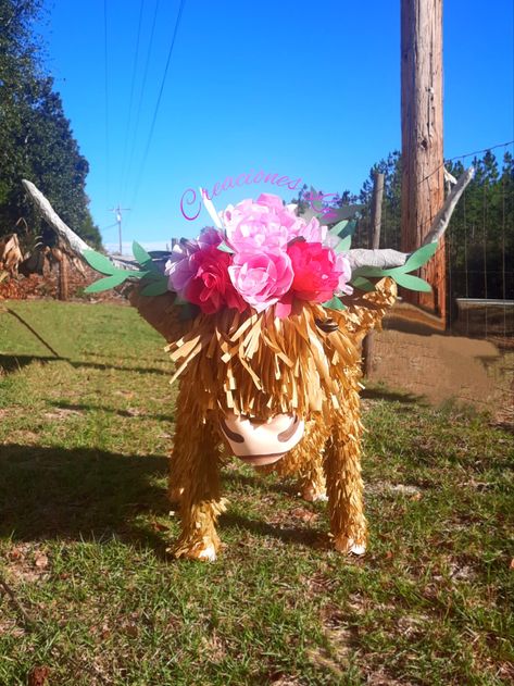 Hi Land Cow Birthday, Highland Cow 2nd Birthday, Highland Cow Pinata, Highland Cow Birthday Theme, Rodeo Pinata, Highland Cow Themed Birthday Party, Frida Cookies, Cow Piñata, Highland Cow Birthday Party