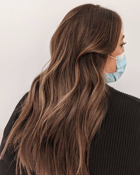 Brunette Balayage, Hair Color Light Brown, Light Hair Color, Balayage Brunette, Oat Milk, Hair Colors, Hair Highlights, Color Light, New Hair