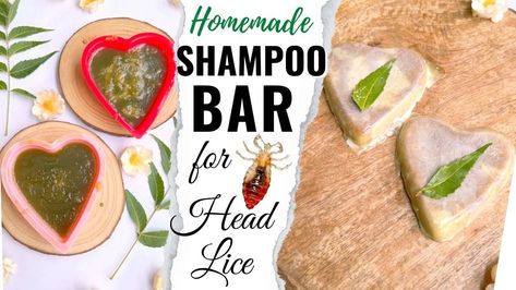 Shampoo bars are in trend these days. So today, I am going to share a quick DIY recipe to make your own shampoo bar at home.This is loaded with the goodness of neem, tulsi and coconut oil and can equally be used for skin and hair.It works extremely well for head lice, dandruff and acne. It’s a mild yet effective […] The post DIY Shampoo Bar For Head Lice & Scalp Infection – Sushmita’s Diaries appeared first on Salon Guru India. Make Your Own Shampoo, Deep Conditioning Diy, Diy Shampoo Bar, Homemade Shampoo Bar, Lice Shampoo, Coconut Hair Mask, Neem Powder, Bar At Home, Head Louse