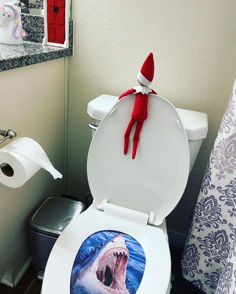 Shark Elf On The Shelf, Elf On The Shelf Toilet Paper Igloo, Elf Fishing, Toilet Pictures, Shark Bait, Elf Ideas, Baby Shark, 50 Shades, On The Shelf