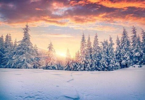 Winter Cover Photos, Winter Facebook Covers, Facebook Christmas Cover Photos, Christmas Cover Photo, Cheap Backdrop, Facebook Background, Snow Cover, Winter Backdrops, Snow Photography