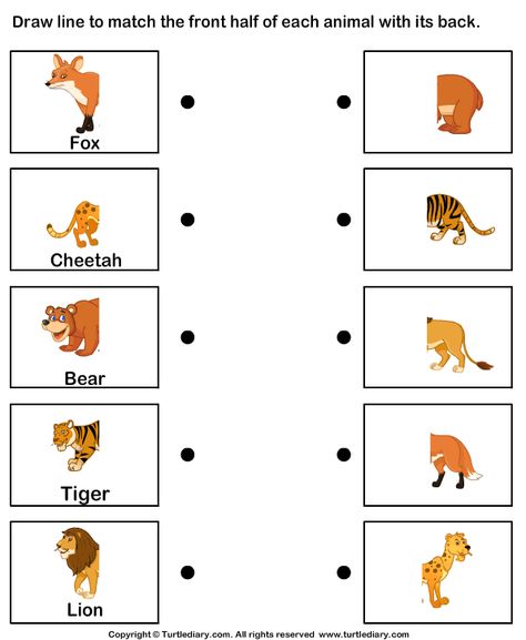 Match Animal Body Parts Educational Games For Preschoolers, Nursery Worksheets, Pre K Worksheets, Animal Body Parts, Regnul Animal, Matching Worksheets, Animal Worksheets, Animal Activities, Science Worksheets