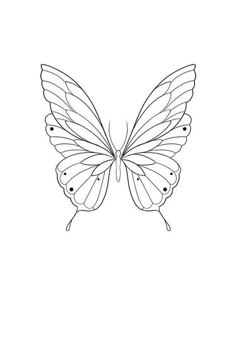 Butterfly Drawing Outline, Moth Tattoos, Zicxa Photos, Borboleta Tattoo, Butterfly Line Art, Butterfly Tattoo Stencil, Butterfly Outline, Butterfly Stencil, Butterfly Art Painting