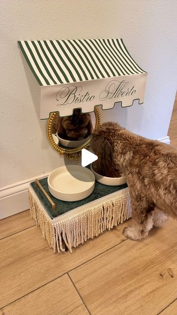 Lindy G on Instagram: "do something weird and whimsical!! Bistro Alberto is open for business!!!👩🏻‍🍳🥖☕️" Dog Hotel Rooms, Dog Feeding Station, Dog Hotel, Dog Area, Pampered Pooch, Feeding Station, November 8, Life Plan, Island Home