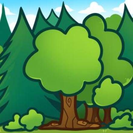 Forest : Drawing for Kids, Coloring pages, Videos for kids, Free ... Forest Drawing Easy, How To Draw Trees, Waterfall Drawing, Draw Trees, Trees For Kids, Forest Drawing, Spiderman Drawing, Beginner Art, Art Basics