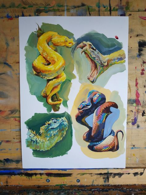 Reptile Drawings, Gouache Art, Arte Sketchbook, Sketchbook Inspiration, Art Inspiration Painting, Art Journal Inspiration, Art Reference Photos, Snakes, Art Sketchbook