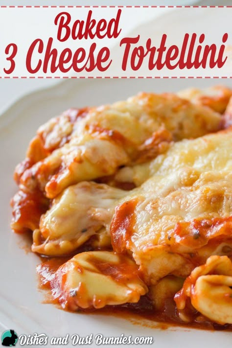 Easy Cheese Tortellini Recipes, Tortellini Recipes Salad, Tortellini Recipes Easy, 3 Cheese Tortellini, Tortellini Recipes Crockpot, Baked Cheese Tortellini, Baked Tortellini Alfredo, Baked Tortellini Recipes, Easy Tortellini Recipes