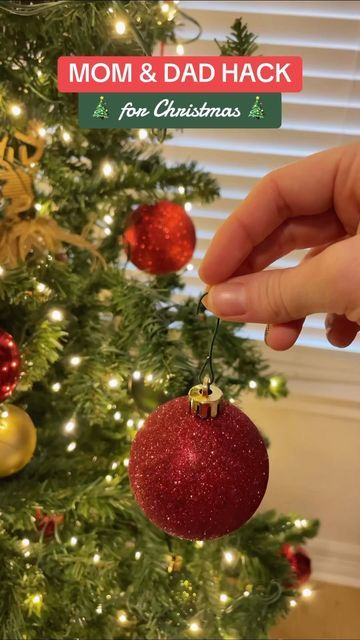 Autumn Grace on Instagram: "Genius & cheap mom & dad hack hack to prevent your ornaments from getting pulled off the tree! #mom #momhack #christmas #christmasideas" Easy Diy Christmas Gifts For Dad, Holiday Hacks Christmas, Holiday Craft Ideas, Tiny Dinosaur, Amazon Fire Stick, Holiday Hack, Diy Gifts For Dad, Christmas Hacks, Cute Christmas Tree