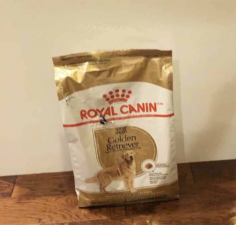 royal canin golden retriever dog food hole in bag from cat Food For Golden Retrievers, Royal Canin Dog Food, Protein Rich Diet, Oat Groats, Cha Ching, Dog Food Brands, Dog Essentials, Royal Canin, Best Dog Food