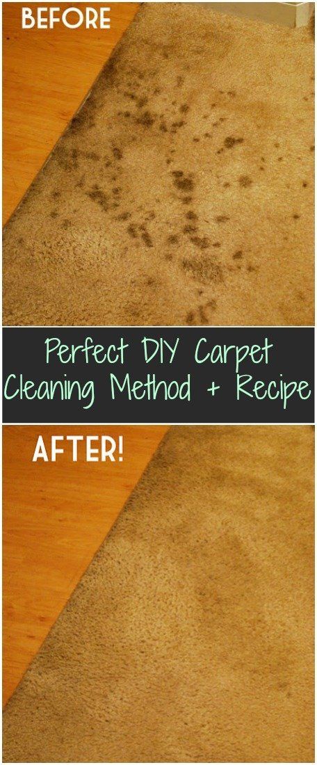 Perfect DIY Carpet Cleaning Method + Recipe Diy Carpet Cleaning, Carpet Cleaning Recipes, Diy Carpet Cleaner, Carpet Cleaning Hacks, Household Cleaning Tips, Diy Carpet, Diy Cleaners, Cleaning Recipes, Cleaners Homemade