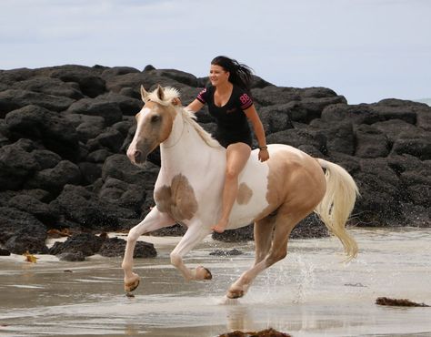 Tackless Horse Riding, Person Riding Horse, Riding Horse, Horse Riding At The Beach, Horse Riding On Beach, Horseback Riding In Water, Woman Riding Horse, Hores Riding Girl, Bareback Riding