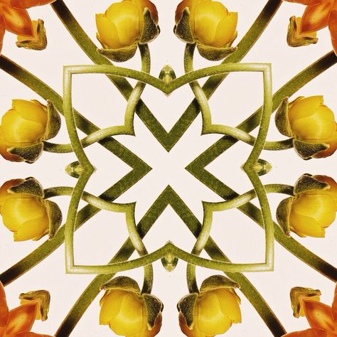 Kaleidoscope Kaleidoscope Illustration, Kaleidoscope Design, Jewelry Flowers, Crazy Fashion, Kaleidoscope Pattern, Fashion Still Life, Kaleidoscope Art, Inanimate Objects, Instagram Template Design