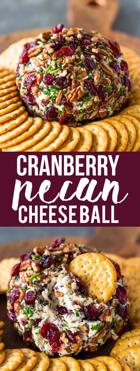 Cranberry Pecan Cheese Ball Cranberry Pecan Cheese Ball, Pecan Cheese Ball, Cheese Ball Recipes Easy, Cranberry Cheese, Cheese Ball Recipes, Cranberry Recipes, Finger Food Appetizers, Holiday Appetizers, Christmas Appetizers