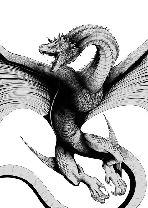 Dragon Art Game Of Thrones, Game Of Thrones Dragon Art, Smaug Dragon Tattoo, Caraxes Dragon Fanart, House Of The Dragon Caraxes, House Of The Dragon Tattoo, Dragon Tattoo Game Of Thrones, House Of The Dragon Dragons, Daemon Targaryen Aesthetic