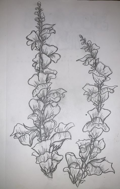 Snapdragon Tattoo, Sketches Unique, Undercut Tattoos, Easy Tattoos To Draw, Family Quotes Tattoos, Sketches Tattoo, Crochet Tattoo, Be Brave Tattoo, Snapdragon Flowers