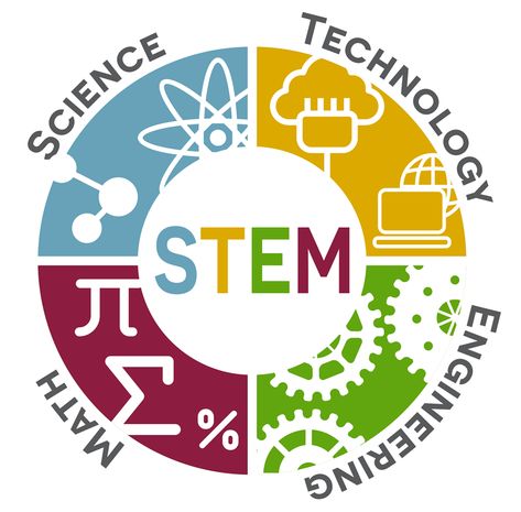 Science Electricity, Stem School, Skills For Kids, Stem Engineering, Diy Science, Stem Learning, Easy Science, Stem Science, Science Kits