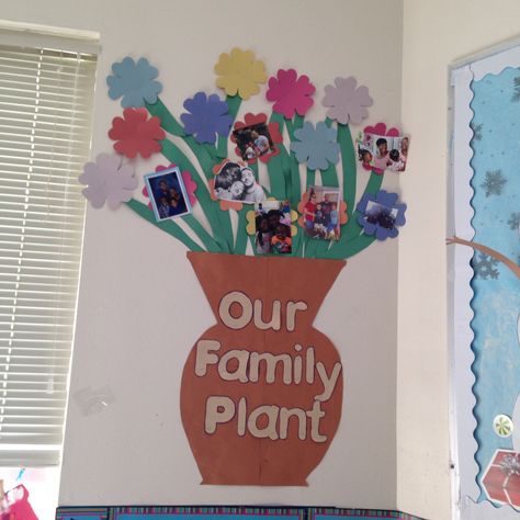 Family plant instead of family tree #prek #fours #daycare Family Tree Ideas Preschool, Family Board Ideas Classroom Infants, Family Display Boards Nursery, Daycare Family Tree, Family Tree Daycare Ideas, Family Wall Pictures Ideas Classroom, Family Photo Wall Classroom, Kindergarten Family Bulletin Board, Classroom Family Tree Ideas