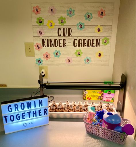 #garden #plant #learning #water #aesthetic #grow #flowers #classroom #teacher #diy #decor #light Flower Classroom Theme, Garden Classroom Theme, Flower Classroom, Garden Classroom, Teacher Diy, Teacher Vibes, Grow Flowers, Elementary Classroom Decor, Classroom Quotes