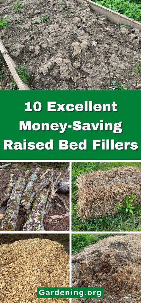 10 Excellent Money-Saving Raised Bed Fillers Raised Bed Gardens, Garden Mulch, Diy Compost, Raised Planter, Plant Diseases, Soil Layers, Houseplants Indoor, Urban Gardening, Raised Bed