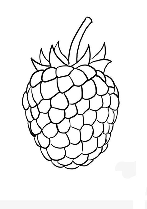 Fruit Tattoo, Fruit Coloring Pages, Beautiful Shapes, Kid Coloring Page, House Keeping, Food Illustration Art, Flower Art Drawing, Coloring Page Ideas, Fruit Illustration