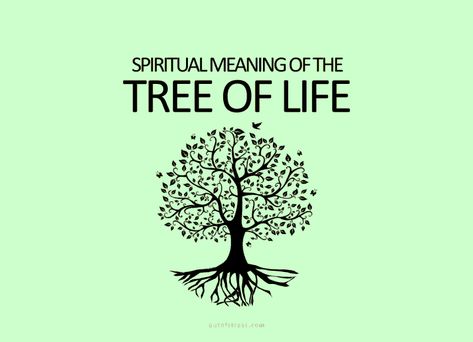 10 Things That The Tree of Life Represents Celtic Tree Of Life Meaning, Native American Tree Of Life, The Tree Of Life, Celtic Tree Of Life Drawing, Tree Of Life Art Drawing, Tree Of Life Sayings, Tree Of Life Symbolism Meaning, Tree Of Life Meaning Spiritual, Tree Symbolism