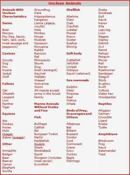 Non-Kosher (unclean) animals are not for human consumption according to Leviticus chapter eleven (11). These are not to be considered as a source of food, such as food is mention throughout the Scriptures. When food is mentioned in the Scriptures the intended reference is specified as clean (kosher) from the rulings of Leviticus chapter 11. Clean Vs Unclean Animals, Kosher Food List, Biblical Diet, Bible Food, Kosher Diet, Adolescent Health, Learn Hebrew, Kosher Recipes, Bible Facts