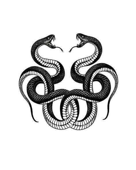 Snake Clipart, Snake Svg, Snake Png, Snake Heads, Tattoos Creative, Cobra Tattoo, Serpent Tattoo, Tattoo Line, Snake Tattoo Design