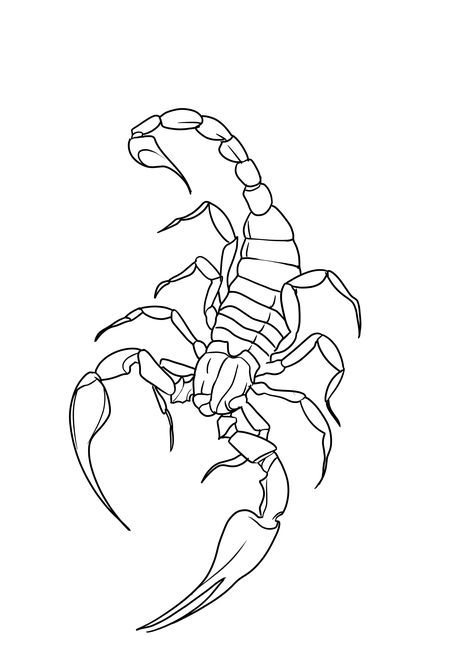 Mens Tattoo Templates, Scorpion Line Art, Scorpio Tattoo Stencil, Scorpion Line Tattoo, Fine Line Scorpion Tattoo, Scorpio Outline, Scorpion Tattoo Flash, Scorpion Tattoo Outline, Scorpion Tattoo Drawing