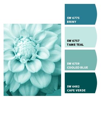 pretty teal thinking colors for bathroom Teal Blue And White Bathroom, Teal Bathroom Paint, Houseboat Ideas, Coastal Paint, Small Bathroom Colors, Teal Bathroom, Teal Paint, Bathroom Color Schemes, Inside Decor