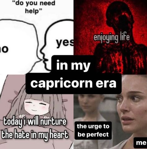 Capricorn Girlfriend, Capricorn Truths, Capricorn Mood, Capricorn Vibes, Capricorn Aesthetic, Virgo And Scorpio, Capricorn Life, Intj Intp, Capricorn Traits