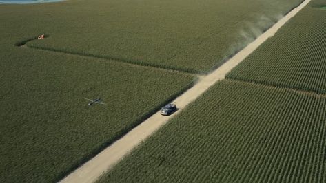 Interstellar Movie Stills, Interstellar Cornfield Chase, Interstellar Shots, Interstellar Stills, Interstellar Movie Scene, Interstellar Cinematography, Interstellar Cornfield, Cinematographic Shots, Interstellar Scene