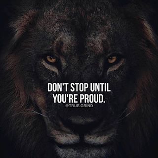 True Grind | Motivation💸 (@true.grind) • Instagram photos and videos Until I Win, Female Lion Tattoo, Fighter Quotes, Winning Quotes, Lion Quotes, Millionaire Mentor, Jack Ma, Millionaire Quotes, Dream Quotes