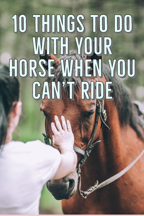 Things to do with your horse when you can't ride Grow Confidence, Horse Halloween Costumes, Horse Ownership, Round Pen, Natural Horsemanship, Horse Costumes, Horse Treats, Horse Boarding, Training Tools