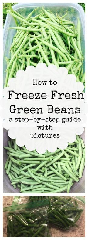 Freezing Fresh Green Beans, Freezer Veggies, Green Beans Frozen, Preserving Green Beans, Storing Veggies, Freezing Food Guide, Freezing Veggies, Freeze Beans, Freezing Lemons