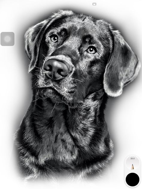 Pet Tattoo Ideas, Cat And Dog Drawing, Pet Tattoos, Labrador Retriever Art, Dog Stencil, Labrador Noir, White Labrador, Labrador Art, Dog Portraits Art