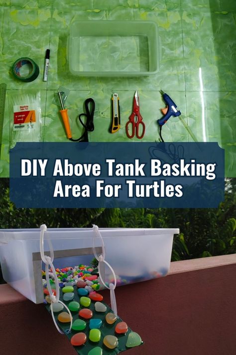 DIY Above Tank Basking Area For Turtles Above Tank Turtle Basking Area, Diy Turtle Basking Platform, Turtle Basking Area, Red Ear Turtle, Diy Turtle, Turtle Basking Platform, Painted Turtle, Tortoise Care, Red Eared Slider